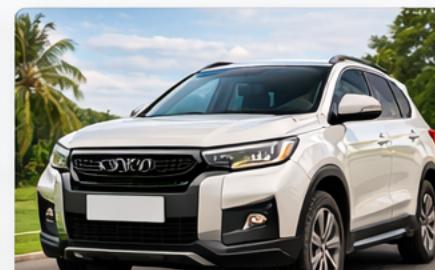 Motor Vehicle Insurance